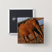 Big Red Button (Vorne & Hinten)