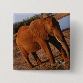 Big Red Button (Vorderseite)