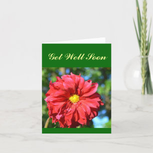 "Big Red Dahlia with Yellow 'Button' Center" Karte