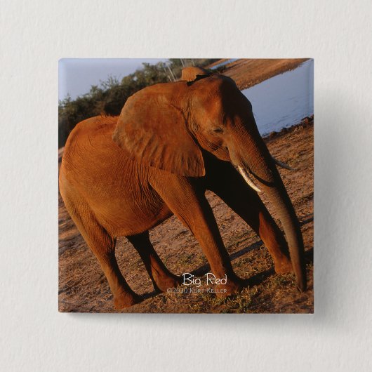 Big Red Elephant Button (Vorderseite)