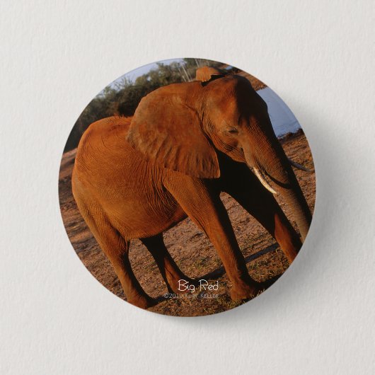 Big Red Elephant Button (Vorderseite)