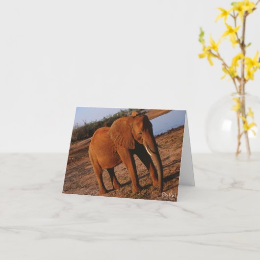 Big Red Elephant Note Card Karte (Gelbe Blume)