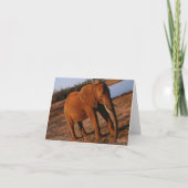 Big Red Elephant Note Card Karte (Vorderseite)