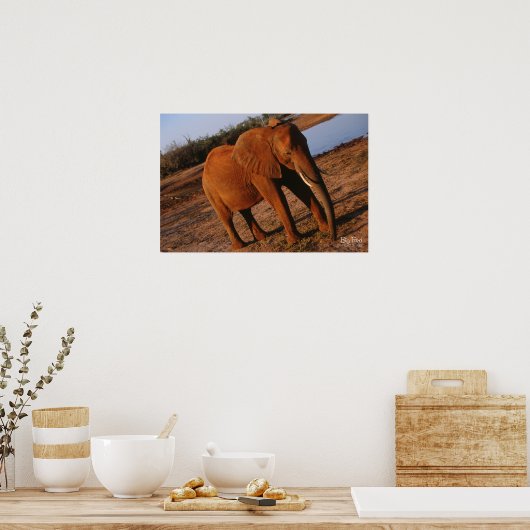 Big Red Elephant Poster (Küche)