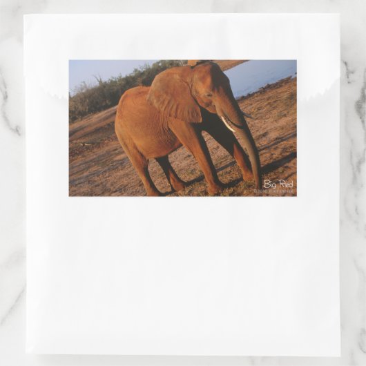 Big Red Elephant Stickers (Tasche)