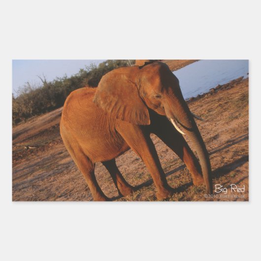 Big Red Elephant Stickers (Vorderseite)