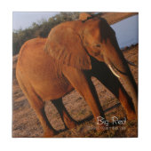 Big Red Fliese (Vorderseite)