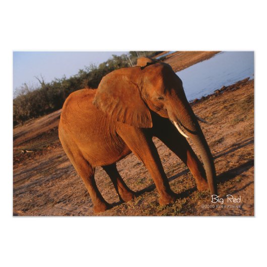 Big Red Fotodruck (Vorne)