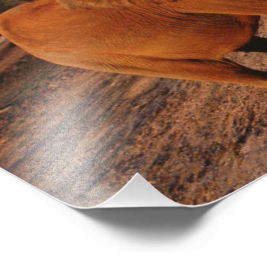 Big Red Fotodruck (Ecke)