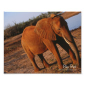 Big Red Fotodruck (Vorne)