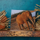 Big Red Fotoplatte (Seite)