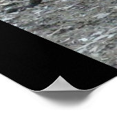 Big Red Kangaroo Print Poster (Ecke)