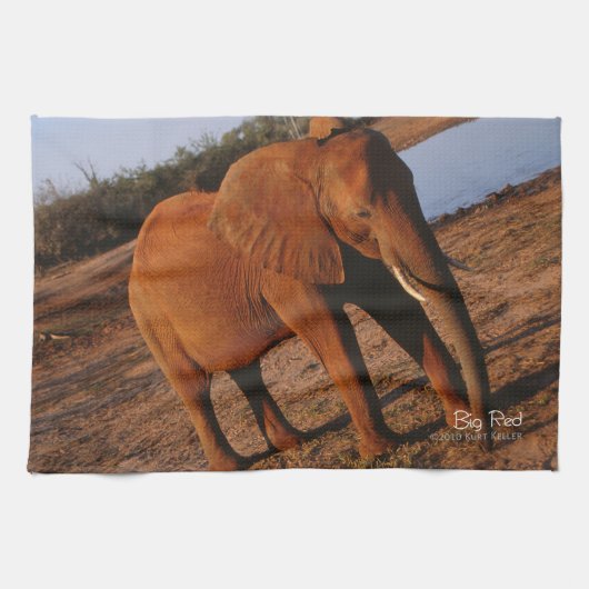 Big Red Küchentuch (Horizontal)