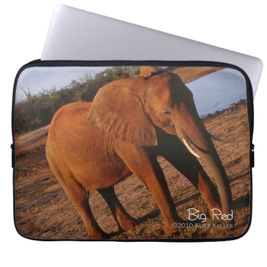 Big Red Laptopschutzhülle (Vorderseite)