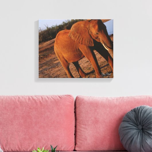 Big Red Leinwanddruck (Insitu (Wohnzimmer))