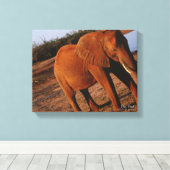 Big Red Leinwanddruck (Insitu (Holzboden))