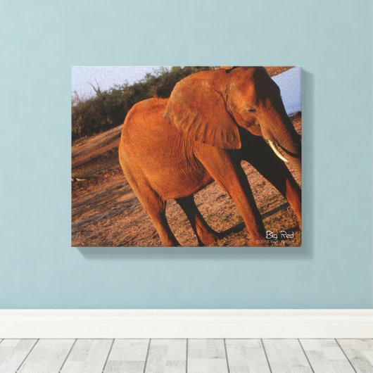 Big Red Leinwanddruck (Insitu (Holzboden))