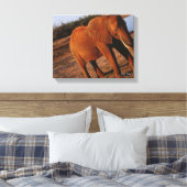 Big Red Leinwanddruck (Insitu (Schlafzimmer))