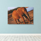 Big Red Leinwanddruck (Insitu (Holzboden))