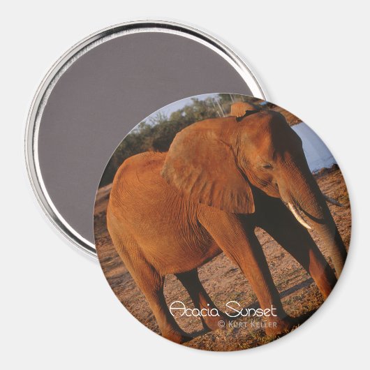 Big Red Magnet (Vorderseite/Rückseite)