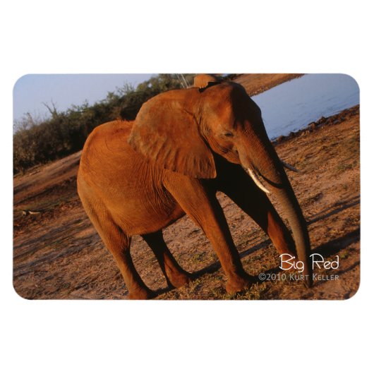 Big Red Magnet (Horizontal)