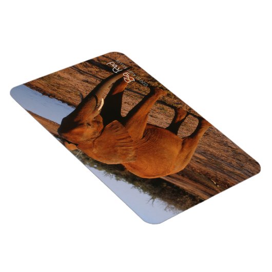 Big Red Magnet (Rechte Seite)