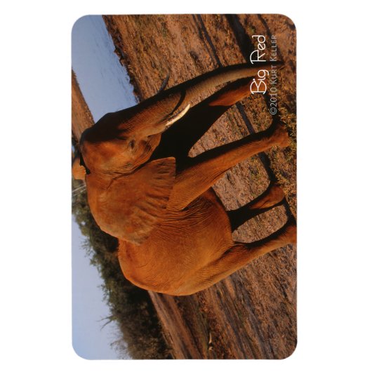 Big Red Magnet (Vertikal)