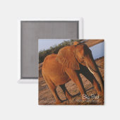 Big Red Magnet (Vorderseite/Rückseite)