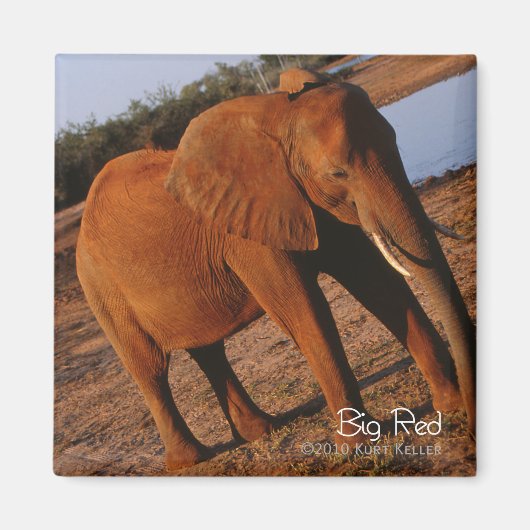 Big Red Magnet (Vorne)