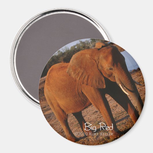 Big Red Magnet (Vorderseite/Rückseite)