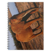 Big Red Notizblock (Vorderseite)