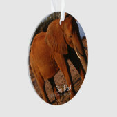 Big Red Ornament (Vorderseite)