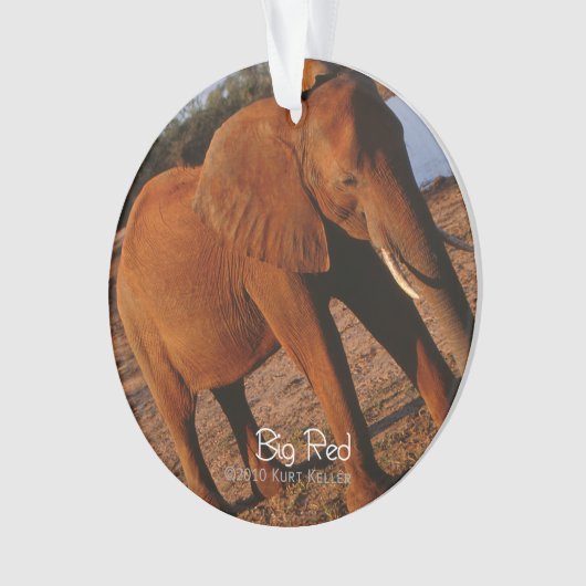 Big Red Ornament (Vorderseite)