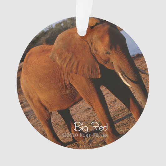 Big Red Ornament (Vorderseite)