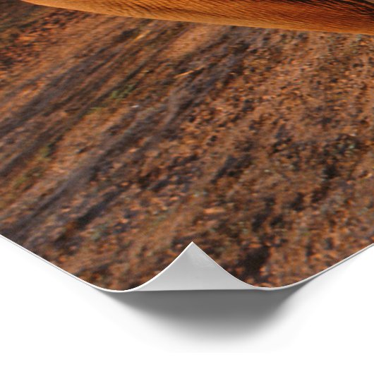 Big Red Poster (Ecke)