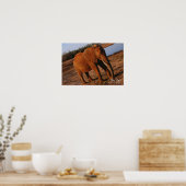 Big Red Poster (Küche)