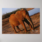 Big Red Poster (Vorne)