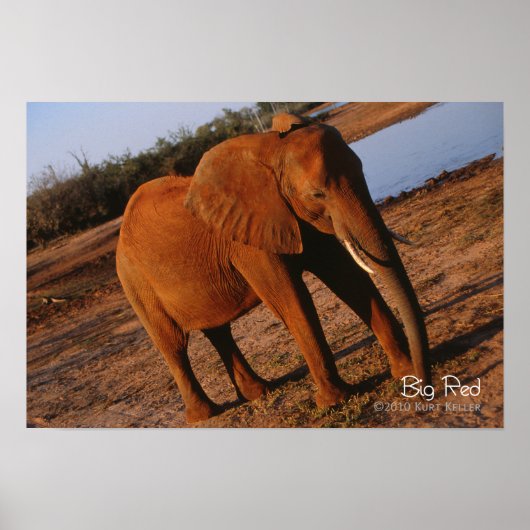 Big Red Poster (Vorne)