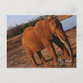 Big Red Postkarte (Vorderseite)