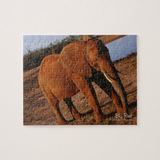 Big Red Puzzle (Horizontal)