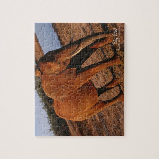 Big Red Puzzle (Vertikal)