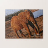 Big Red Puzzle (Horizontal)