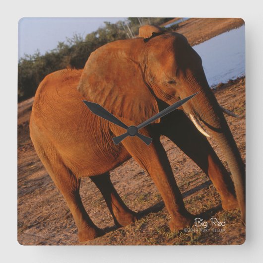 Big Red Quadratische Wanduhr (Vorderseite)