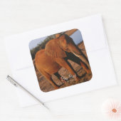 Big Red Quadratischer Aufkleber (Umschlag)