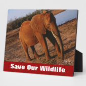 Big Red Rettete Our Wildlife Fotoplatte (Seite)