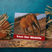 Big Red Rettete Our Wildlife Fotoplatte (Seite)