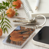 Big Red Schlüsselanhänger (Vorderseite rechts)