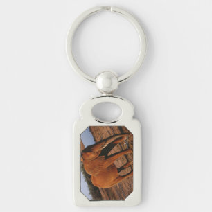 Big Red Schlüsselanhänger