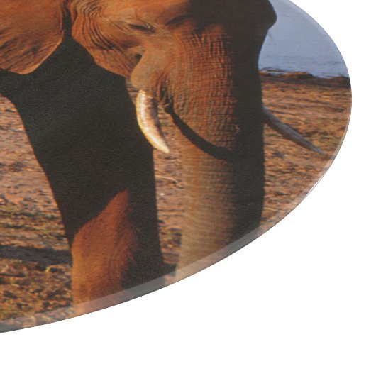 Big Red Schneidebrett (Ecke)