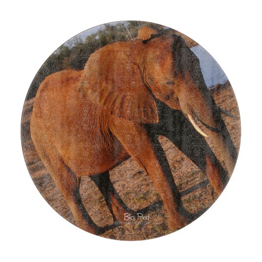 Big Red Schneidebrett (Vorderseite)